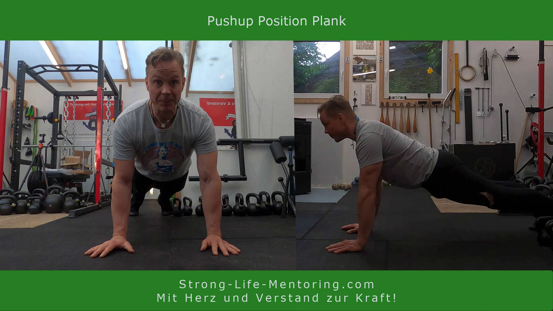 Pushup Position Plank